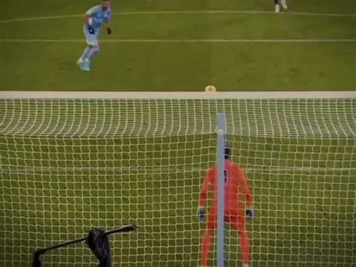 Riyad Mahrez Highlights and Skills