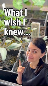 721K views · 9K reactions | Seed starting season is upon us...