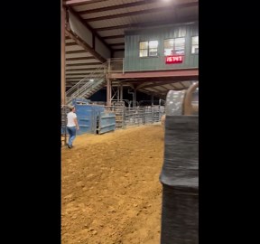 Adolescent Barrel Racer Was Born for This