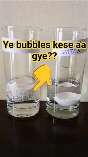 How acid rain deforms our monuments?? #shorts #viral #science #experiment #study #education