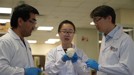 NUS researchers develop novel material for water quality monitoring device