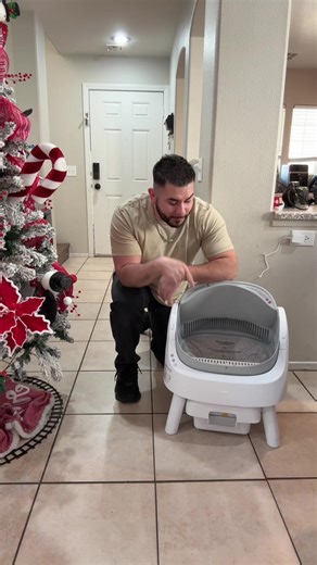 Automatic Cat Litter Box Solutions for Cat Lovers