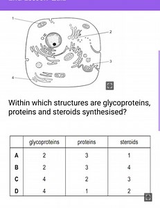 Within which structures are glycoproteins, proteins and steroid... | Filo