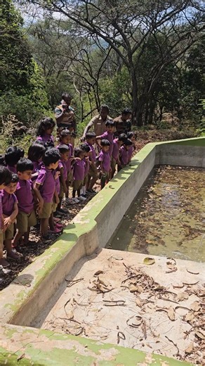 Ashmitha| Food and lifestyle blogger |Dance lover on Instagram: "They offer a holistic learning, taking into mind the needs of each individual child and offering them an environment and space to flourish and grow into independent individuals inspite of giving them a lot of freedom Address : lavender international farm school, No-46/1, Thiruvalluvar street, GN Mills (po), Coimbatore - 641029. Contact Number : +91 99885 24666 +91 99885 04666"