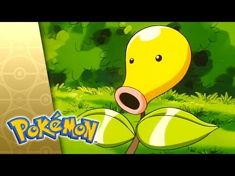 A Bout With Sprout! | POKÉMON FULL EPISODE 14 | Season 3