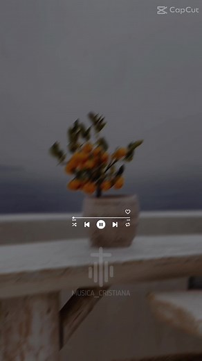 #musica_cristiana #Diostodopoderoso♥️🛐 #dios_todo_poderoso💕🤲 #alabanzas_cristianas #jovenescristianos #diostieneelcontrol #demivida #🙏🏼🙏🏼🙏🏼