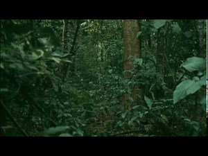 GHOSTWOMAN // "3 Weeks Straight"