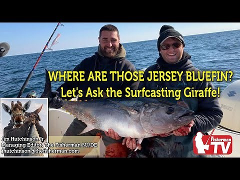 December 9, 2021 New Jersey/Delaware Bay Fishing Report with Jim Hutchinson, Jr.