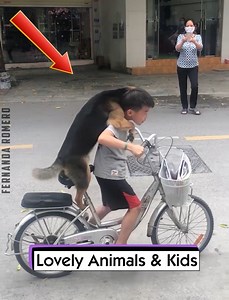 Lovely Animals & Kids | Fernanda Romero