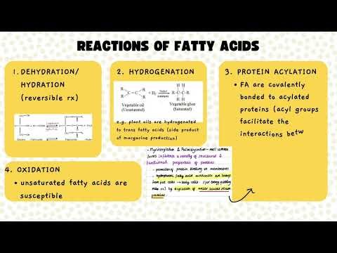 Lipids & Membranes I Zaina and Mohammed I Foundation Made Easy