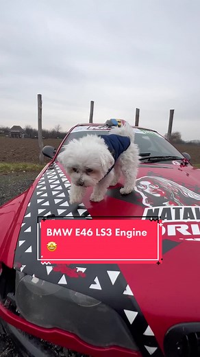 BMW E46 LS3 Engine Drifting | Natalia Drifts