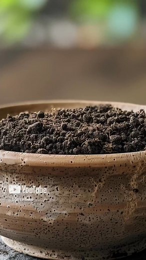 17K views · 100 reactions | What happens if you don’t repot your bonsai? #bonsai #bonsaitree #bonsairepotting | Bonsaibarn | Facebook