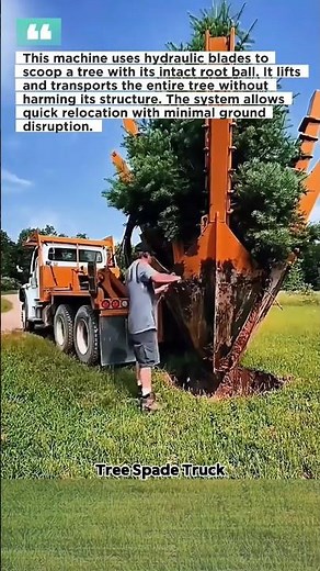 Giant Tree Spade in Action #TreeSpade #HeavyEquipment #TreeMoving