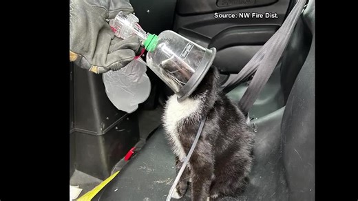 One person transported after house fire causes brief road closure in Pima County