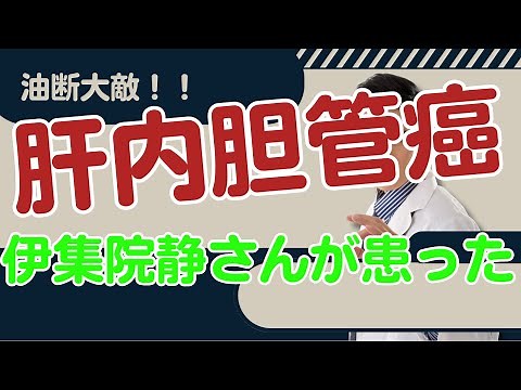【伊集院静さんが公表】肝内胆管癌の初期症状、診断、治療、予防、手術、