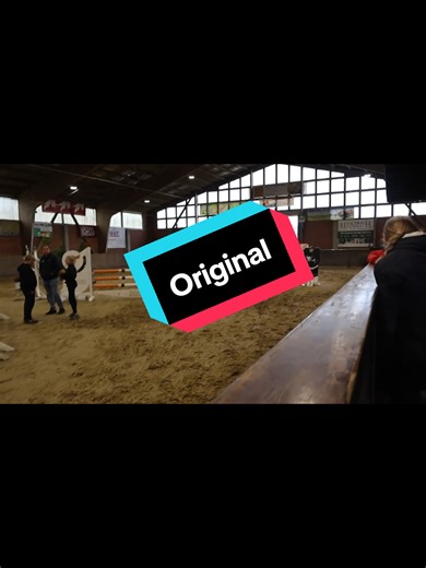 Schnaps vor der Prüfung? Pferdefails beim Springturnier