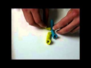 Development of lung buds , esophagus , trachea and abnormalities during development