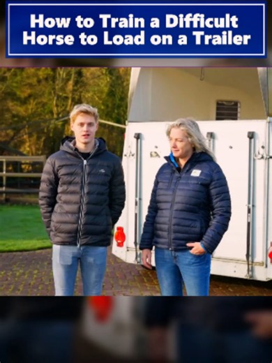 How to Train a Difficult Horse to Load on a Trailer #fyp #viral #USA #horses #horse #horsesoftiktok #horsetok #horseriding #equestrian #equestrianlife #horsegirl #horsetraining
