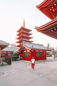 19 Very Best Things to Do in Tokyo (The Ultimate Guide)