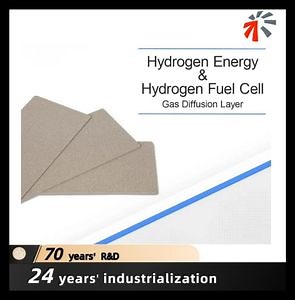 [Hot Item] High-Conductivity Gas Diffusion Layers