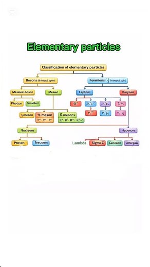 Elementary particles (fundamental particles) Nuclear physics.