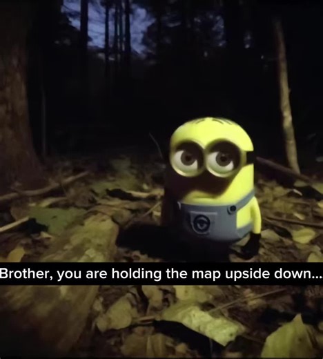 Minion in the Scary Forest Adventure