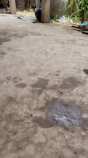 Animated Alien Character Riding a Scooter