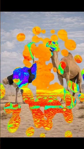 Ostrich vs Camel | Height & Speed Comparison #sanbartasnaturemotivation #animals