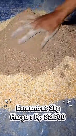Racikan pakan ayam petelur Yukk mari kita simak Semoga bermanfaat sobat budidaya peternak #kebutuhanhewanpeliharaan #kebutuhanpakanhewan #kebutuhanhewan #pakanternak #pakanayam #pakanburung #pakankucing #pakanbebek #pakanikan #peralatanpeternakan #peralatanperikanan #obathewan #vitaminhewan #aksesorieshewan #fyp #reels #reelsvideo #reelsinstagram | Yudo Pakan