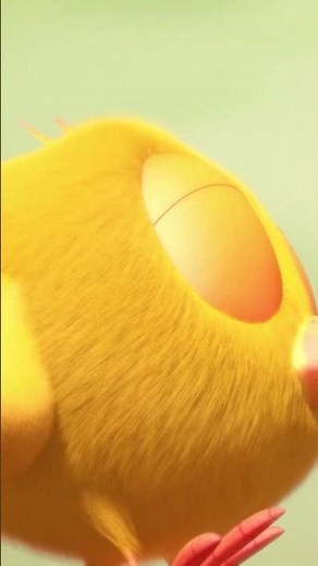 When you're a little too confident #chicky | Chicky Cartoon in English for kids