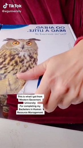 Online College Night Owls - Journey with WGU Graduates