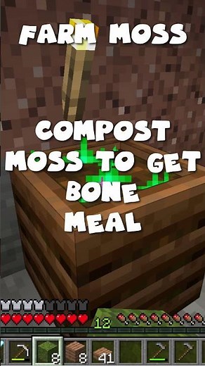 Let's Farm Moss Blocks in Minecraft Survival! 😎😎 #shorts