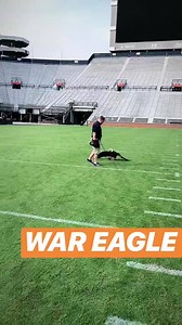 1.8K views · 139 reactions | War Eagle! | Auburn University Cheerleading | Facebook