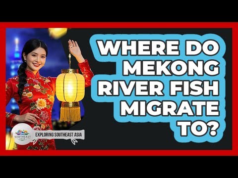 Where Do Mekong River Fish Migrate To?