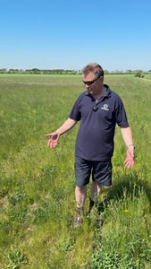 139K views · 7.2K reactions | "It's like Birmingham International Airport for wildlife!" Farmer Henry explains how growing wildflowers on his farm has resulted in a huge increase in wildlife, including insects, birds, bees and deer 歷 #BackBritishFarming #BritishWildlife #BritishFarming #Wildflowers | Back British Farming NFU | Facebook