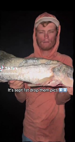 Snook Season Adventures: Tips and Regulations