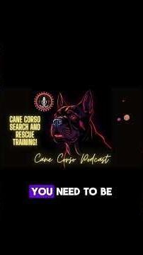 🧱 Building a Strong Foundation for Cane Corso Training! #CaneCorso #DogBasics