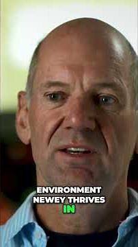 Adrian Newey at Aston Martin Total F1 Transformation!