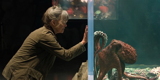 Netflix Debuts ‘Remarkably Bright Creatures’ Teaser, Reveals Voice of Octopus Marcellus