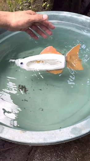 248K views · 1.4K reactions | This used bottle fish is real #toys #creative #diy #Amazing | Gudang Kreatif | Facebook