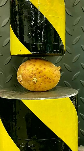 47K views · 100 reactions | Fruit. #satisfying #press #hydraulicpress #foryoupage #viral #crushing #peng #reelsfb #reelsvideo #fypシ゚viralシ | Hydraulic Press | Facebook