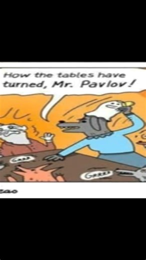 How the turntables #memes #shortsfeed #funny #silly #voiceacting #comics #dogshorts #pavlov