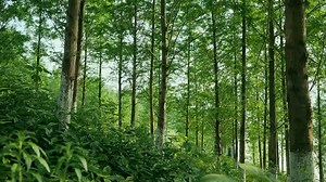 77 reactions · 11 shares | The #YellowRiver, known as China's...