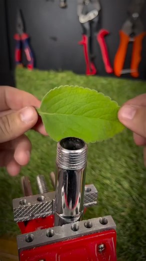 Please Don't Under Review 📸 #arshadAli_trick_master #virel #vedio #grow #foryoupage