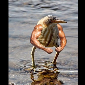 Oracle_S - Twitch