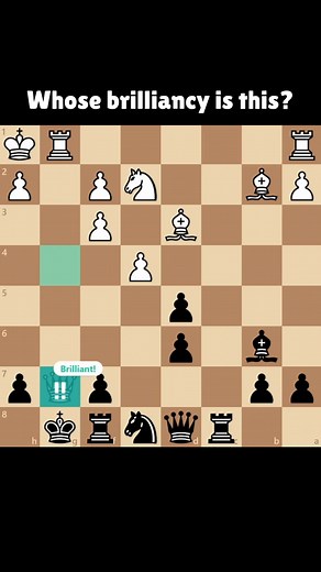 Igor Smirnov on Instagram: "Whose brilliancy is this? #brilliantmove #grandmaster #chessgame"