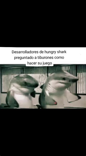 Shocked Shark Meme and Hungry Shark Delicioso Memes
