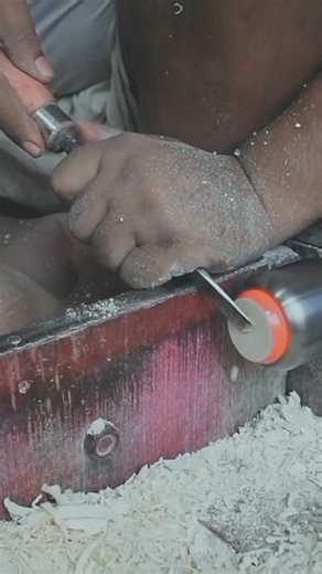 Don’t touch a beehive, cat! 😹🐝 #cat #bee #behive #funnycat #catvideos #catshorts #funnyanimals | Christy Hicks