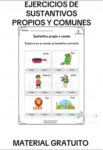 Ejercicios de Sustantivos Propios y Comunes para Niños