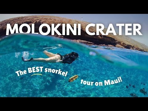 The BEST Snorkeling Trip in Hawaii: Molokini Crater & Turtle Town